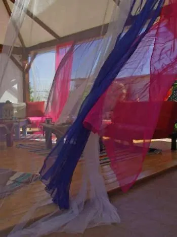 Blue Bab B&B-1